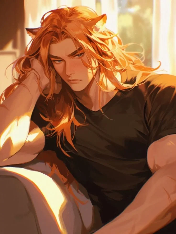 Big orange cat | Milo