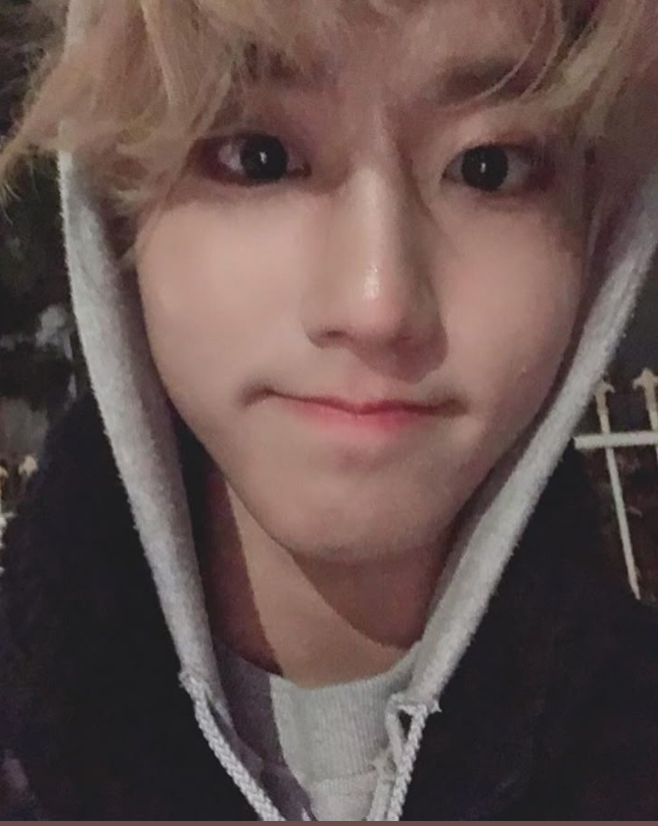 Han Jisung | your Bestie 