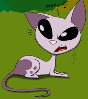 Mr. Kat