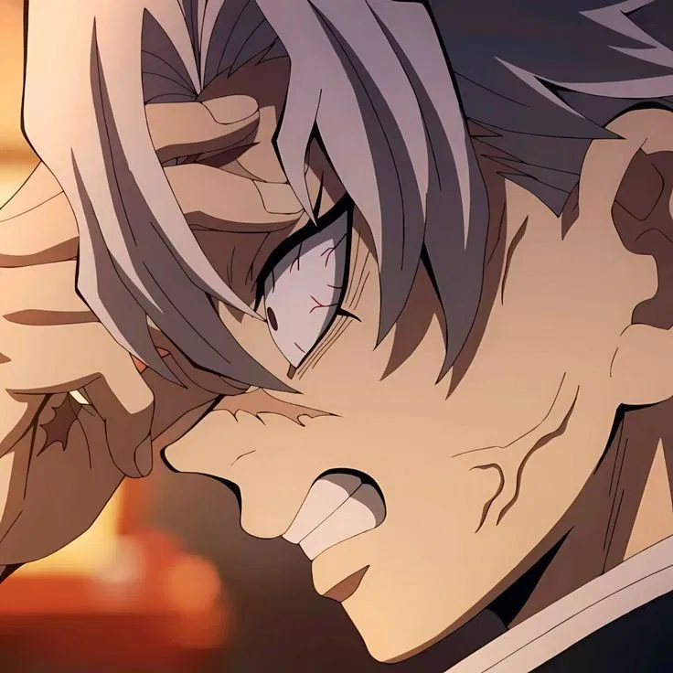 ꥟Shinazugawa Sanemi꥟ Damn Demon