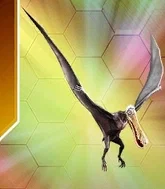 Cearadactylus (from JWTG)