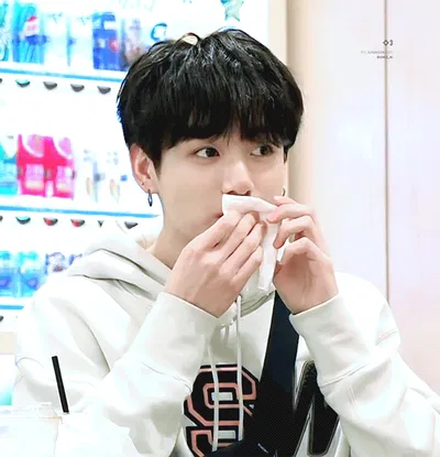 J. Jungkook ☆` Omegaverse¡