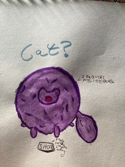 Shockwave -cat-