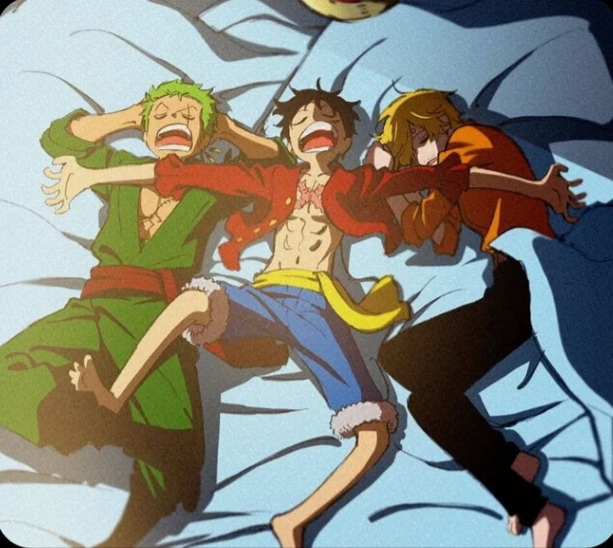 Zoro, sanji and luffy
