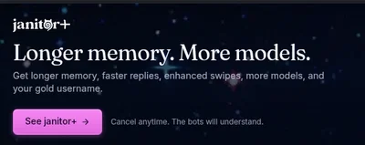 Janitor ai, WHAT IS THIS.