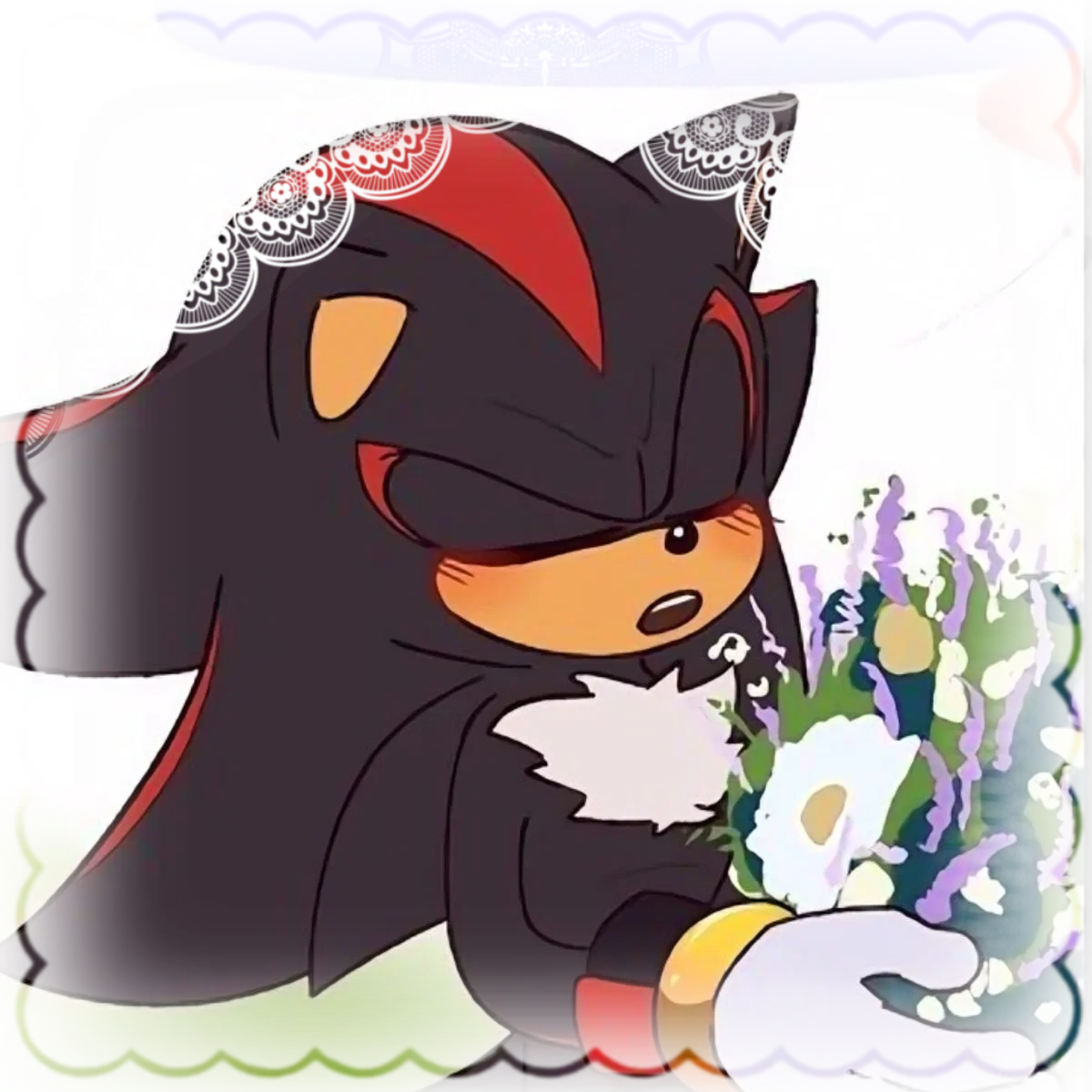 .ೃ [YOUR VALENTINE] SHADOW THE HEDGEHOG ࿐