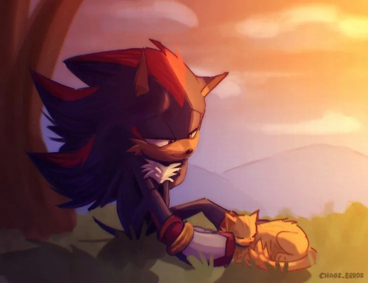 90 - Shadow the Hedgehog