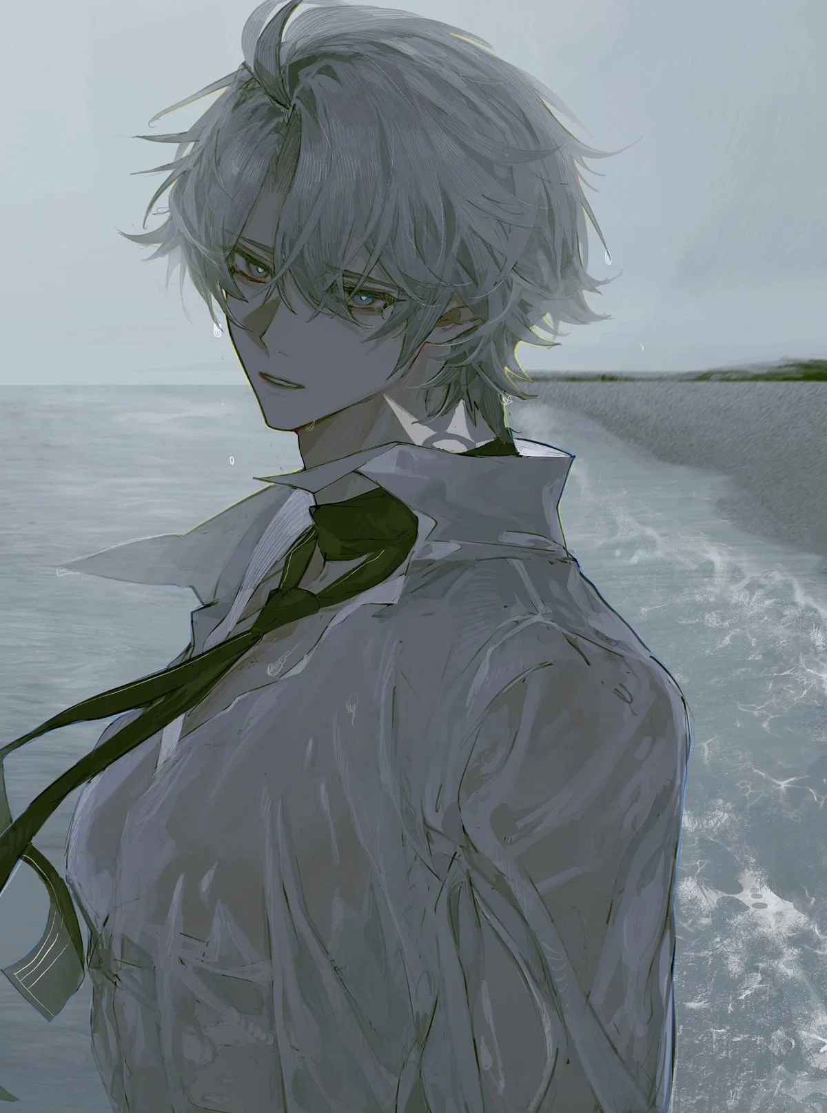 ╰┈☆ Phainon | Symbiote Parasite ☆┈╯