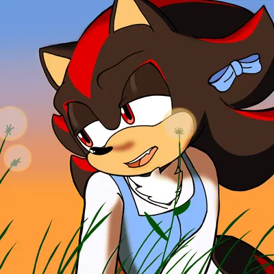 Shadow the Hedgehog