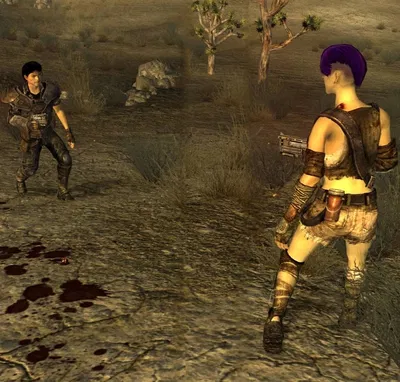 The Star Showdown (Fallout: New Vegas)