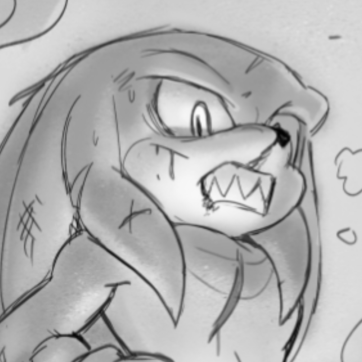  ̊+۶ৎ ̇⋆ Knuckles The Echidna