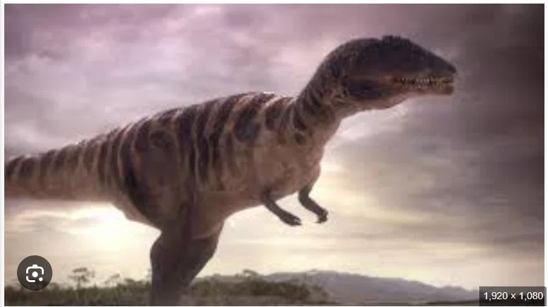 carcharodontosaurus