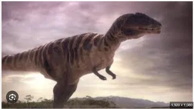 carcharodontosaurus