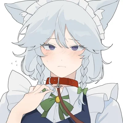 Sakuya izayoi wolf (Loyalty at its finest )