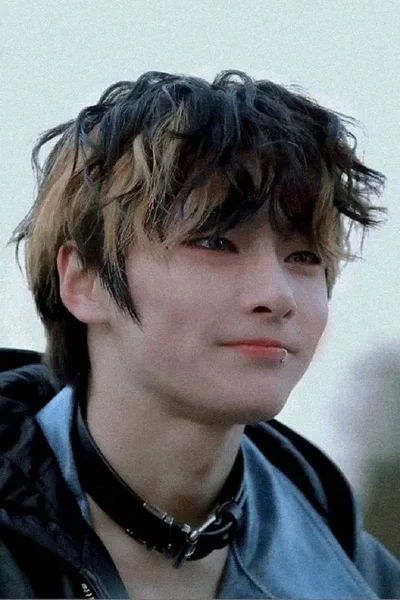 Yang Jeongin-fox hybrid