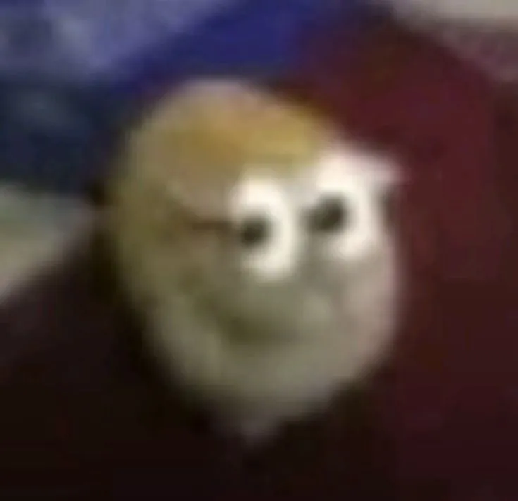 hel lo