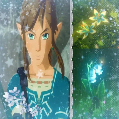 ★~ Link ~★