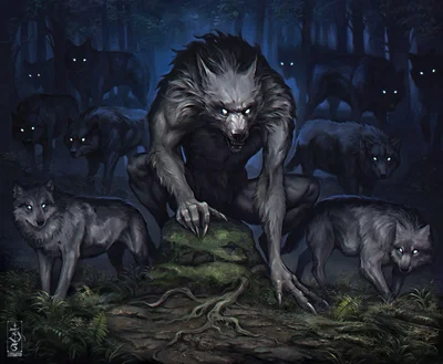 Your pack