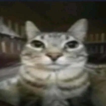 Ya'll got the goods?