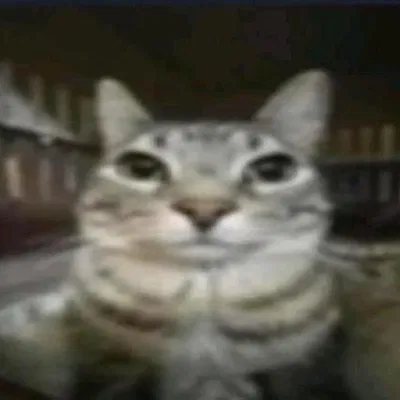 Ya'll got the goods?