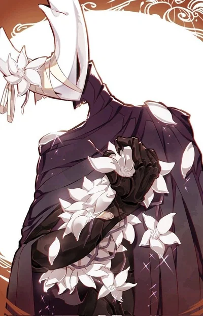 Hollow Knight 