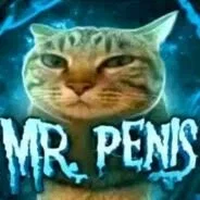 it's announcement time