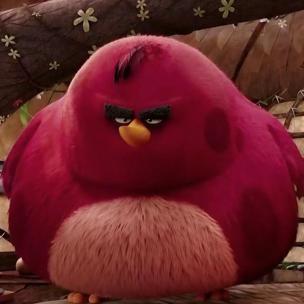 Terence
