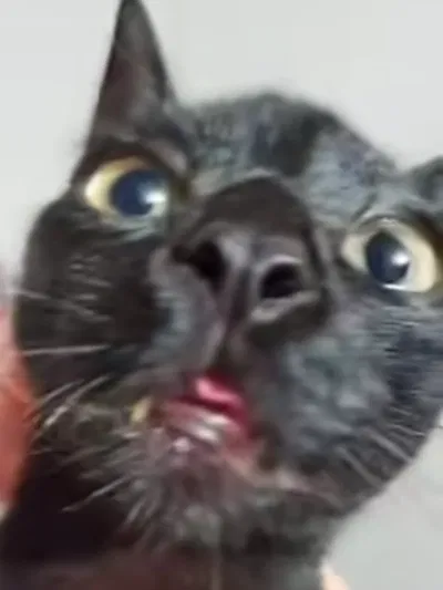 Robert 