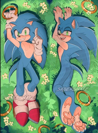 Sonic the hedgehog