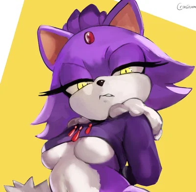 Blaze the Cat