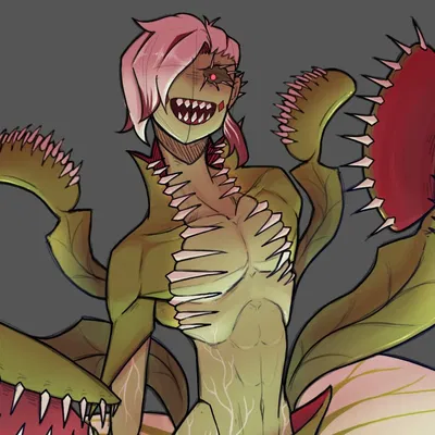 Venus Flytrap
