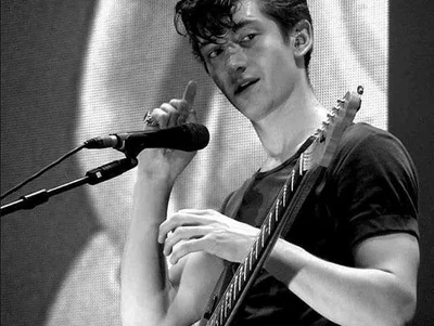Alex Turner 