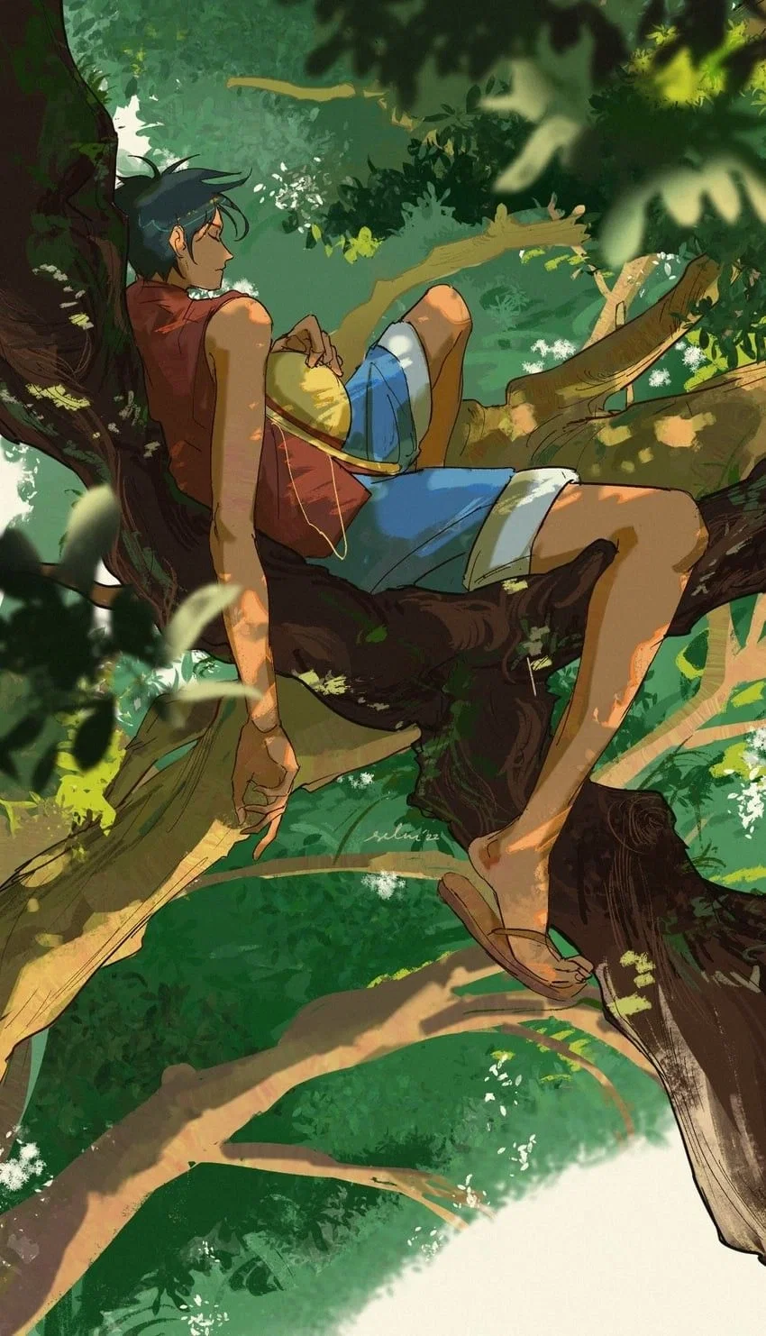 Monkey D. Luffy / One Piece 