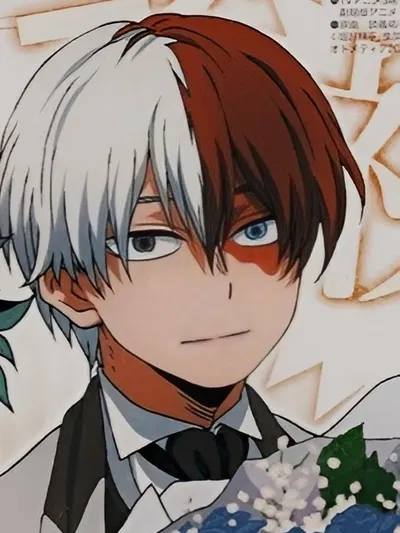 Shoto todoroki