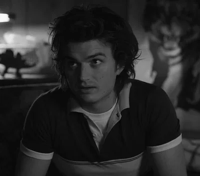 Steve Harrington 