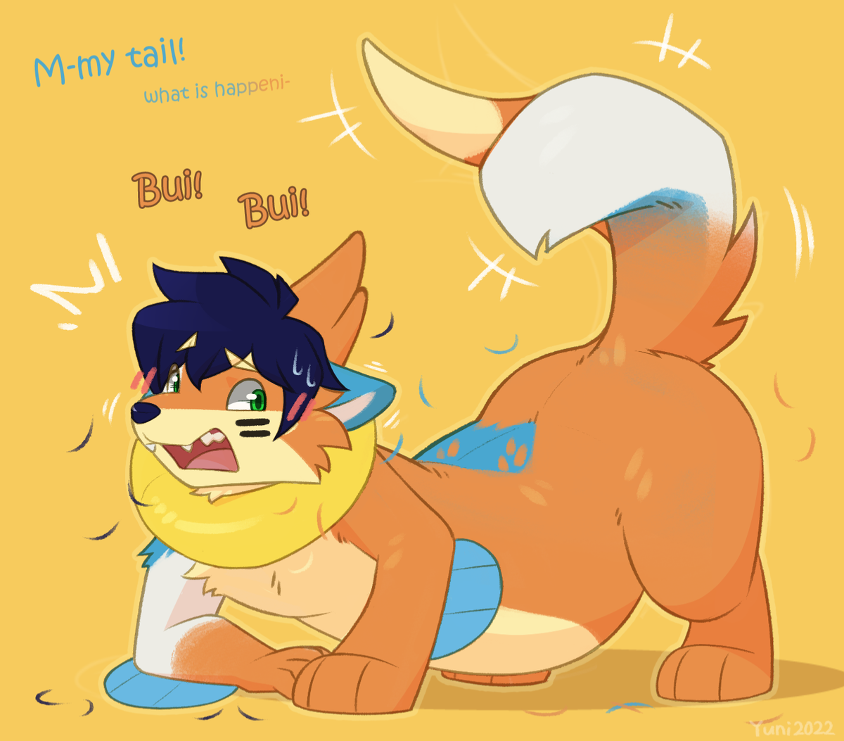 Buizel TF