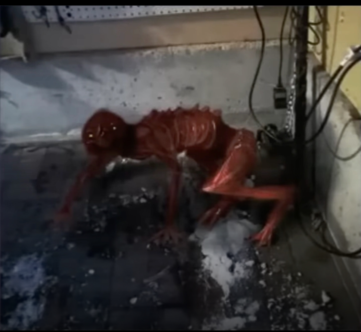 Vita Carnis: Juvenile Mimic