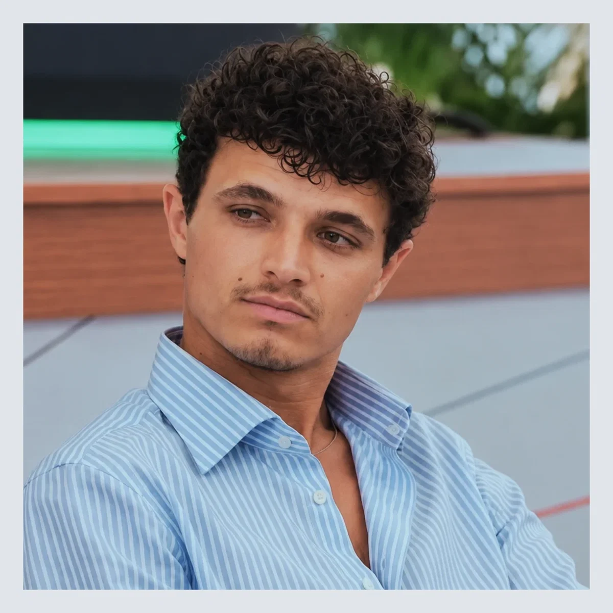Lando Norris