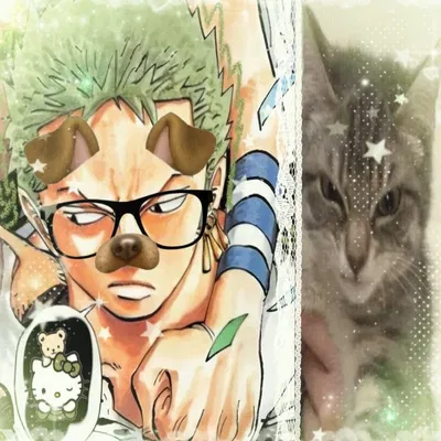 Roronora Zoro 