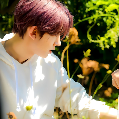 Heeseung —ENHYPEN—