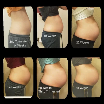 Pregnancy Simulator Week by Week