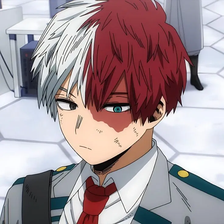 Shoto Todoroki