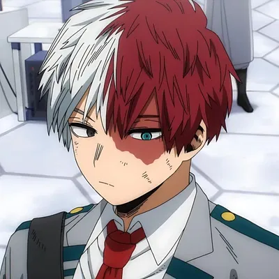 Shoto Todoroki