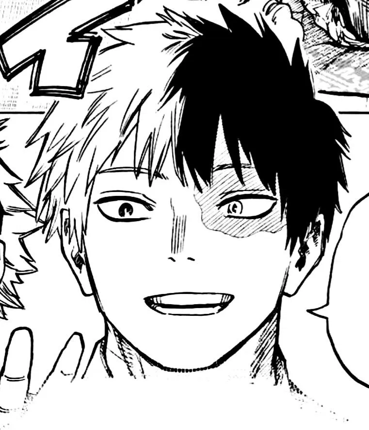 Shoto Todoroki [Anidroid]