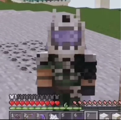 Xisuma Void