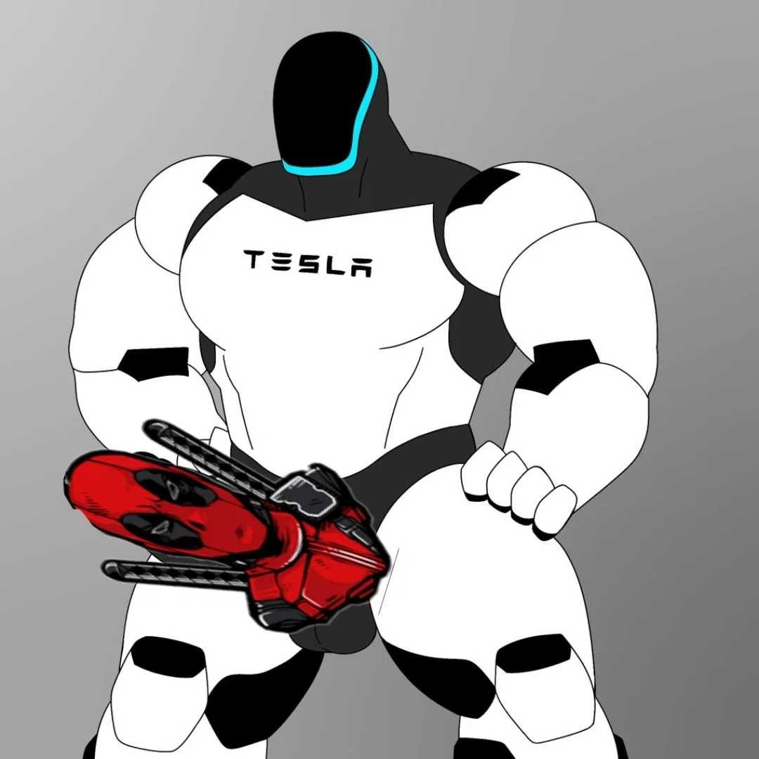 Tesla bot 