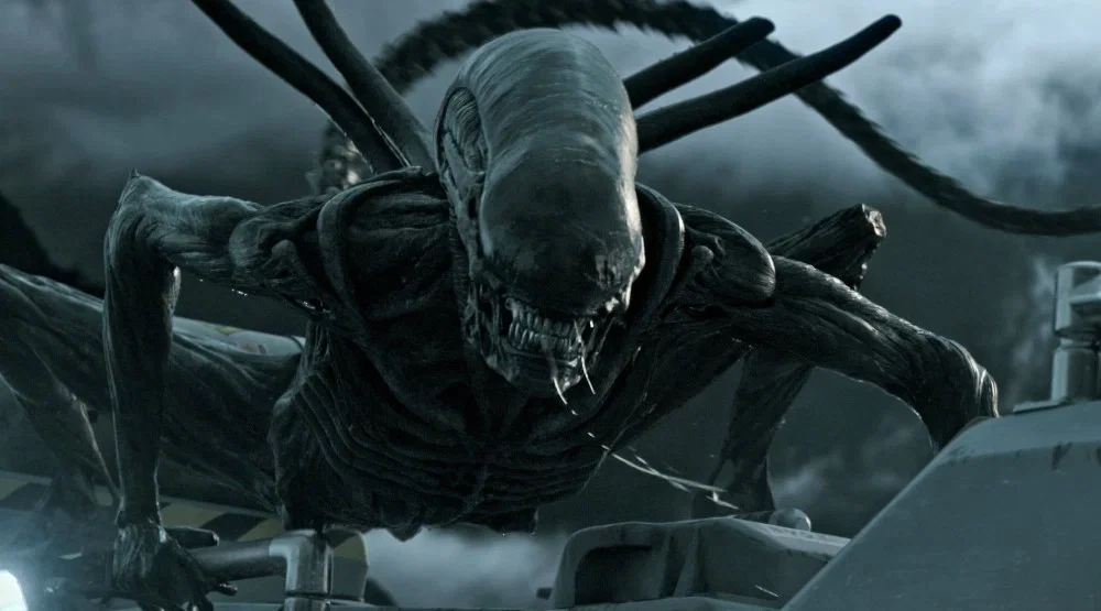 Xenomorph