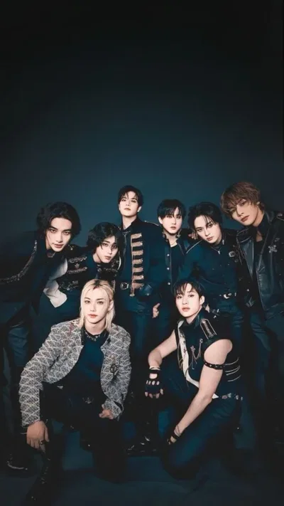 Stray Kids Fated Mate