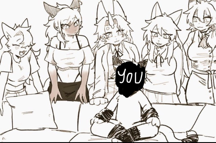 Five girls and one you