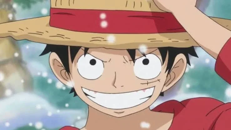 Monkey D. Luffy Straw Hat